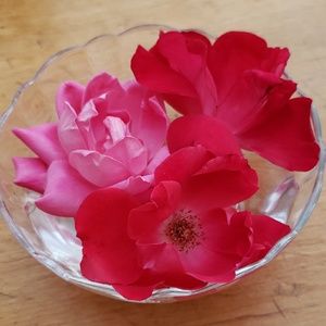 Meet your Posher, Diane